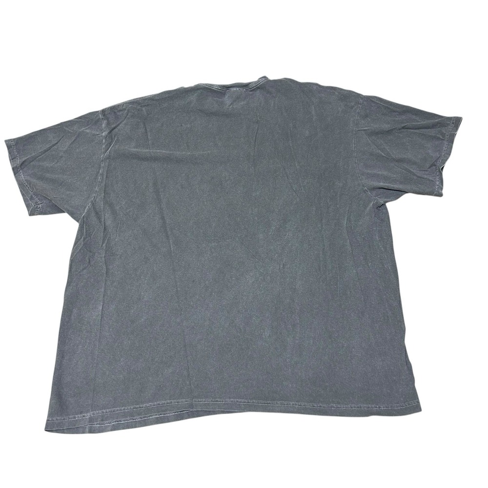 Morgan Wade Psychopath Band Shirt Gray Wash Size 3XL T Shirt - Picture 3 of 9